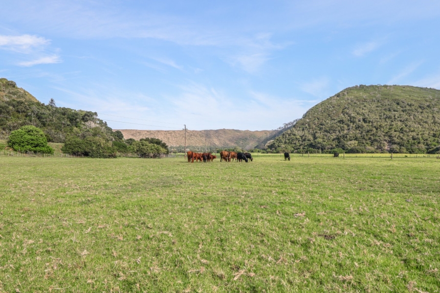 14 Bedroom Property for Sale in Knysna Rural Western Cape